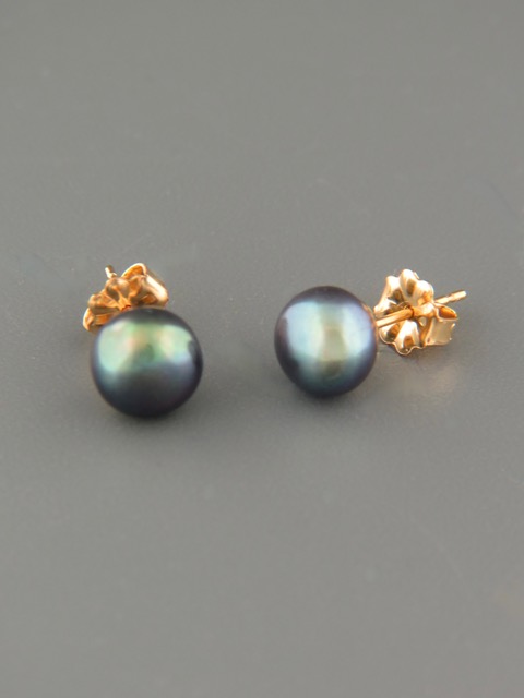 6mm dark Pearl stud Earrings - Gold - YD6ZG