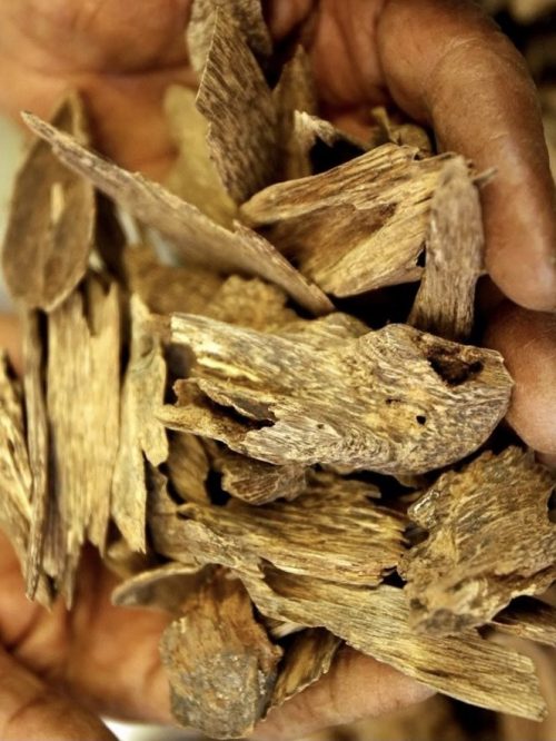 Oud 100% Pure Essential Oil