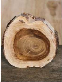 Sandalwood (A+) 100% Pure Essential Oil - Moroccan