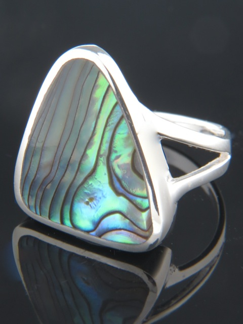Paua Shell