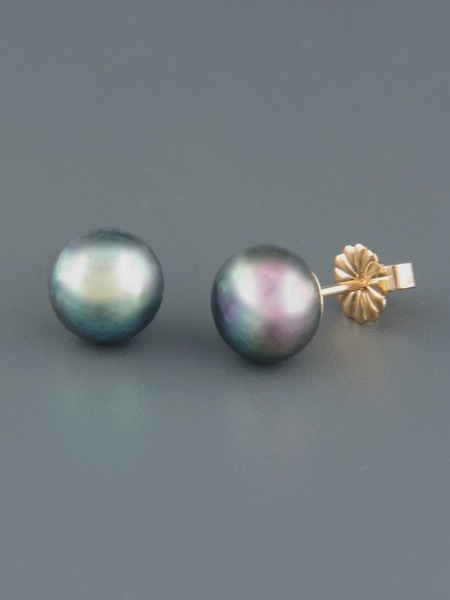 8mm dark Pacific Pearl Stud Earrings - Gold - YD8ZG
