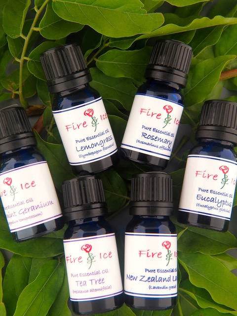 Essential Oil Starter Kit