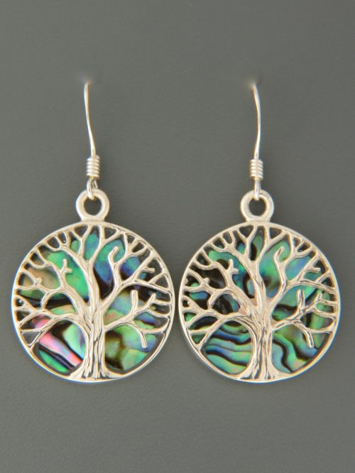 Paua Shell
