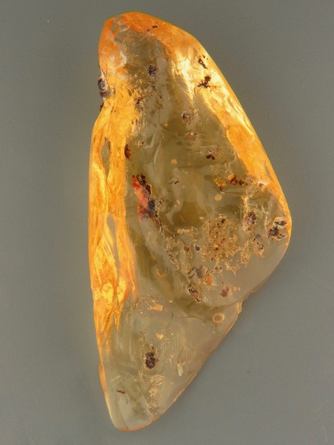 Copal - Polished Specimen - 0122